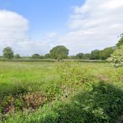Wokingham field