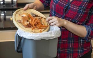 Up to 1,800 flats in Bracknell will be getting food waste bins next year. Credit: Bracknell Forest Council