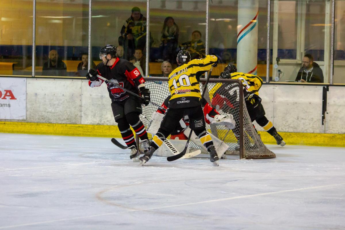 Bracknell Bees record weekend double against Romford Raiders and MK Thunder